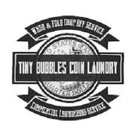 Professional Laundry Service Logo