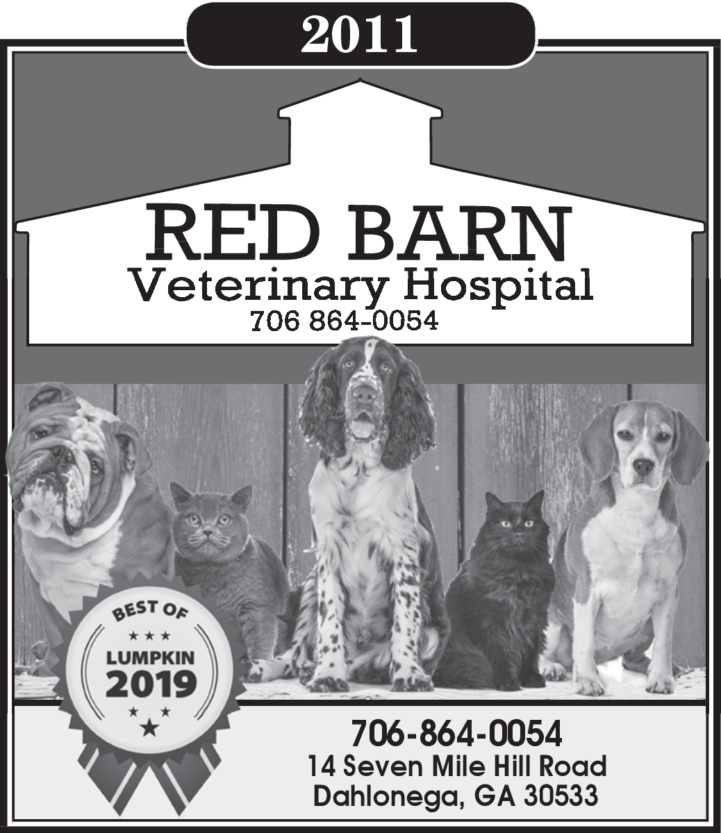 Rabies Clinic In Dahlonega Ga Pet Grooming Red Barn Veterinary