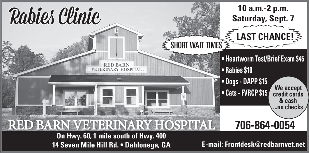 Rabies Clinic In Dahlonega Ga Veterinary Services Red Barn