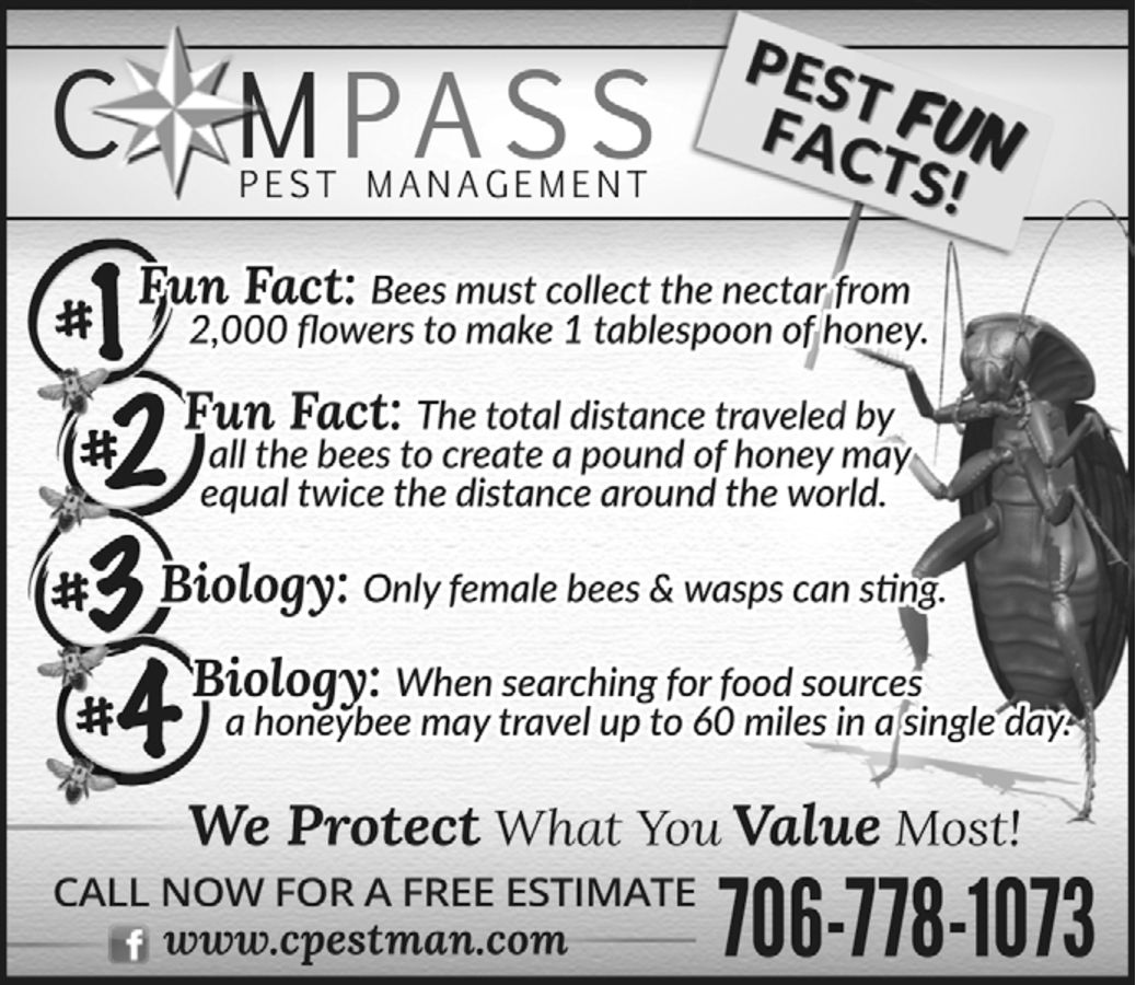 all about compass