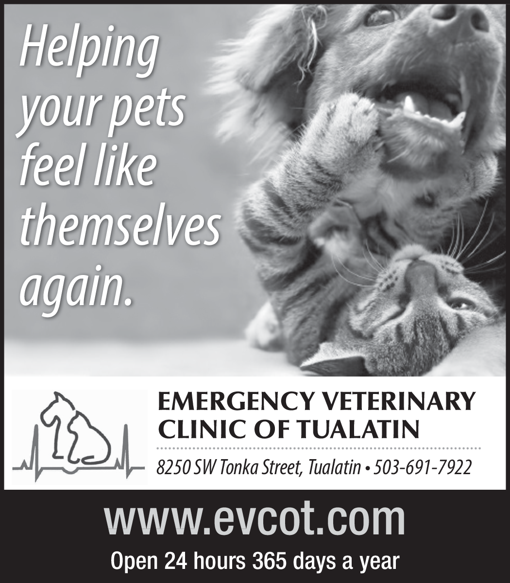 Provide Emergency Care For All Animals in Tualatin, OR, Veterinary