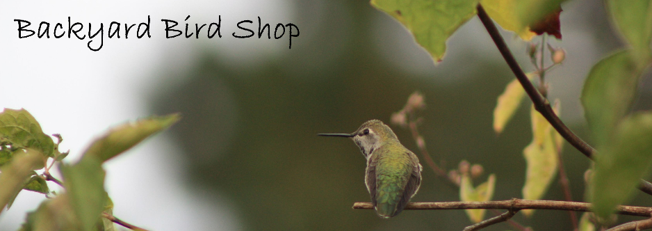 Backyard Bird Shop Beaverton Oregon