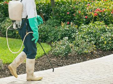 Oak Hills Pest Control Boerne Texas