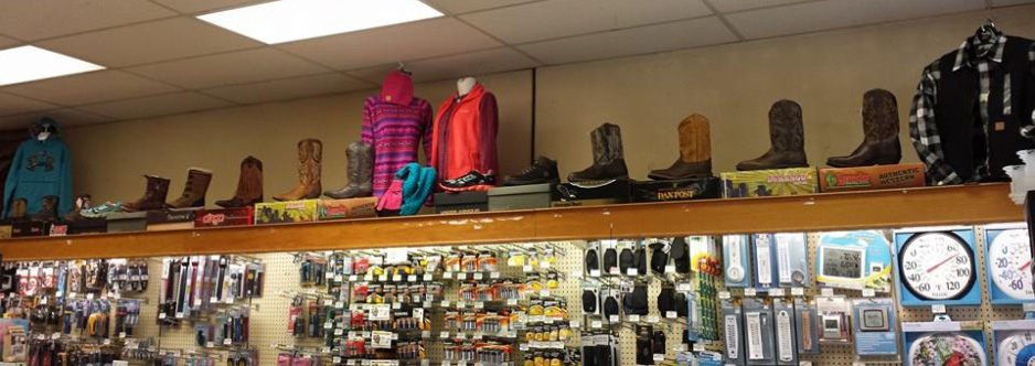 ace hardware georgia boots