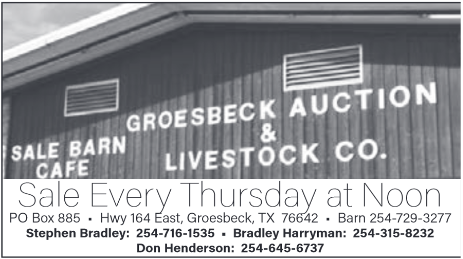 Cattle Market In Groesbeck Tx Livestock Auctions Sales