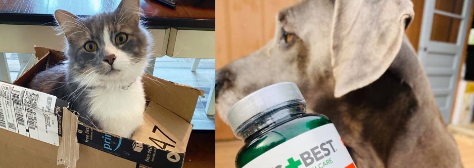 paws pet store near me