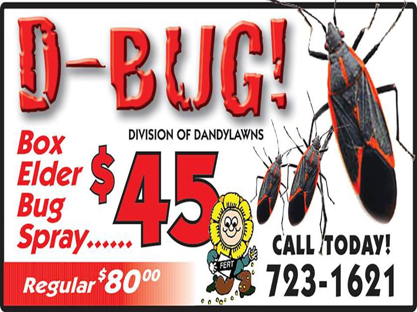 Pest Control Exterminator Services