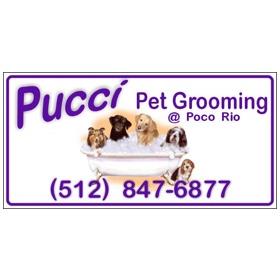 pucci grooming