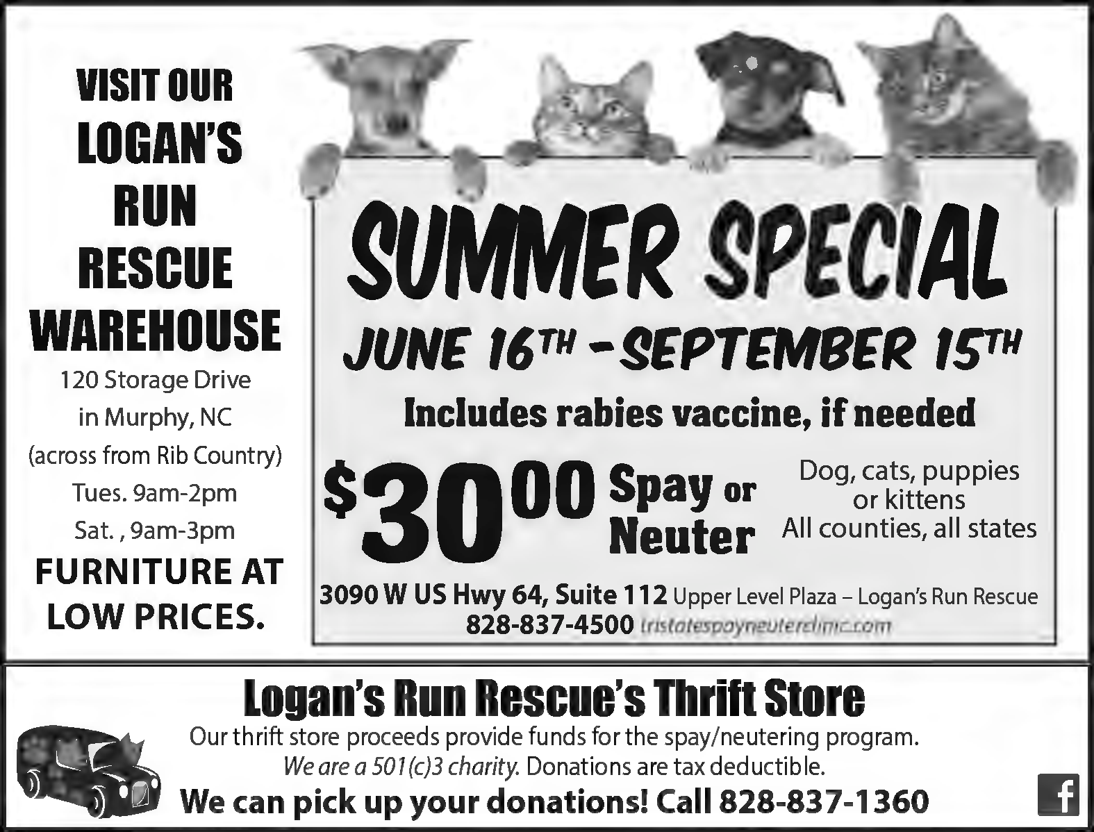Provide Funds For The Spay Neutering Program In Murphy Nc Pets