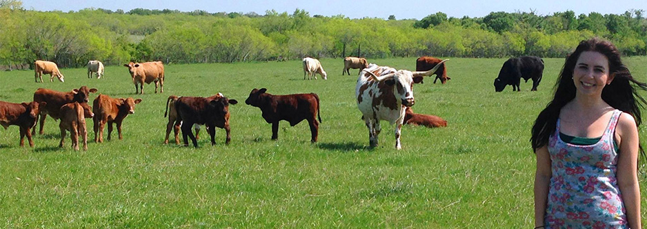 Texas Farm Bureau Insurance Fayette County La Grange Texas