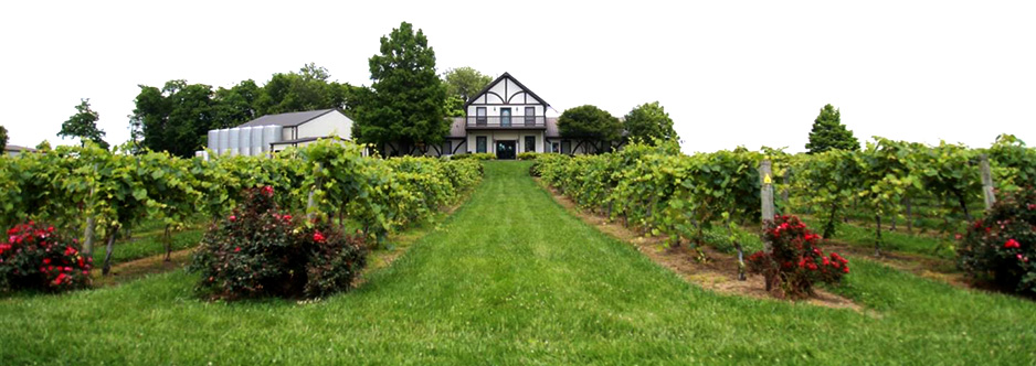 Beachaven Vineyards Winery Tennessee