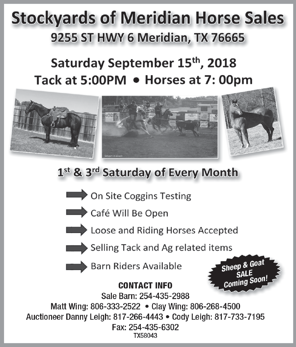 Stockyards Of Meridian Horse Sale In Meridian Tx Livestock